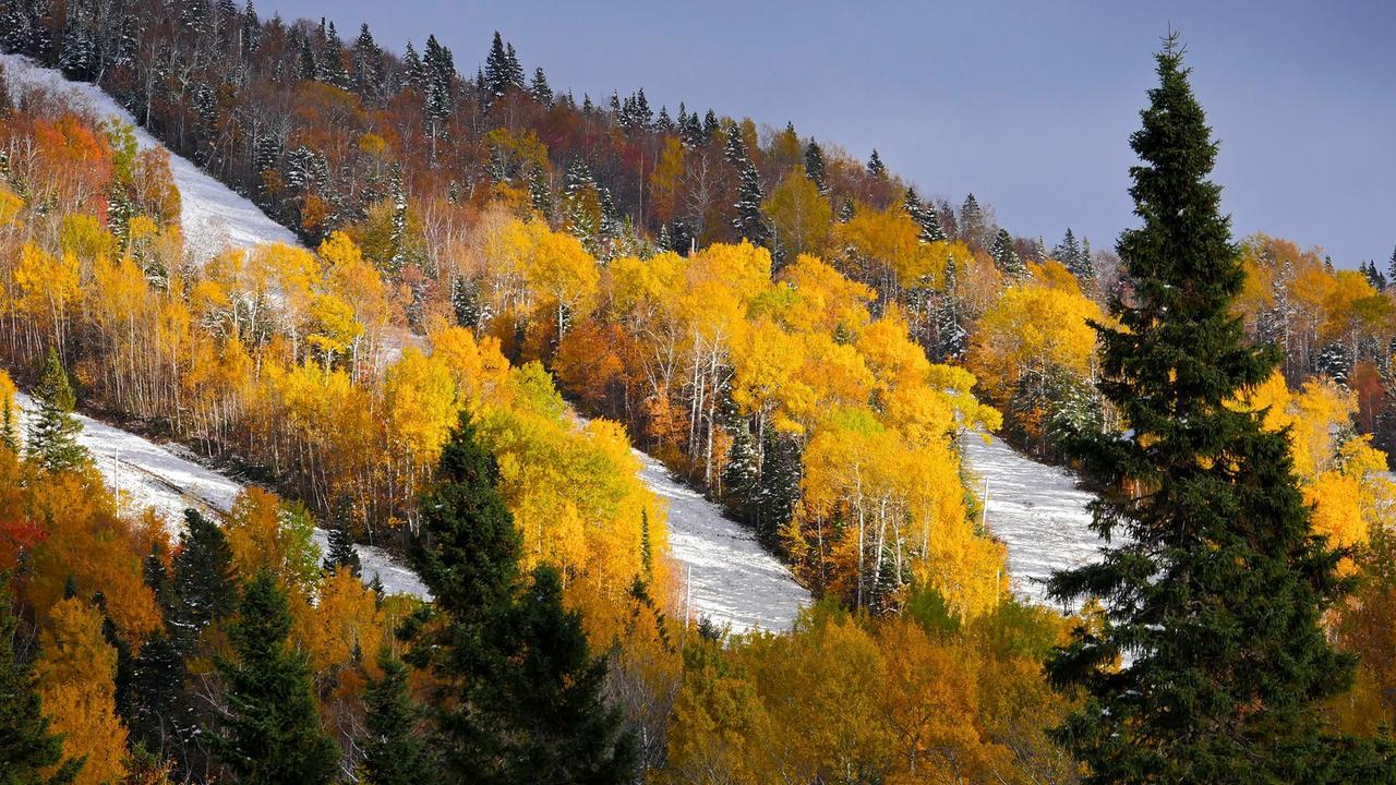 Les Bouleaux - Les Chalets Spa Canada La Malbaie Eksteriør bilde